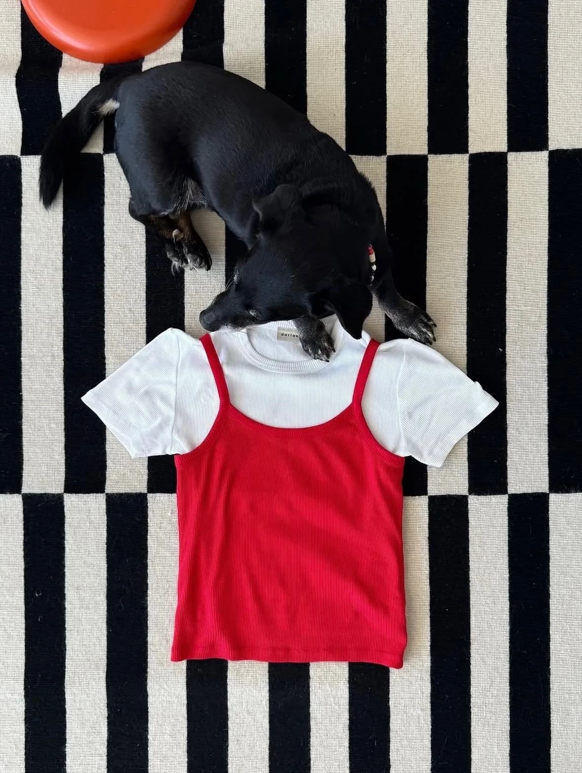 Dariadéh Outfit mit rotem Oberteil